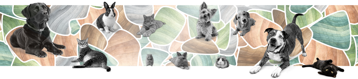 Amberra Banner with logo motive and pet photo's