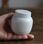 Beautiful small Amberra ceramic porcelain white urn to store the ashes of your hamster, rabbit, small dog, cat or other pet