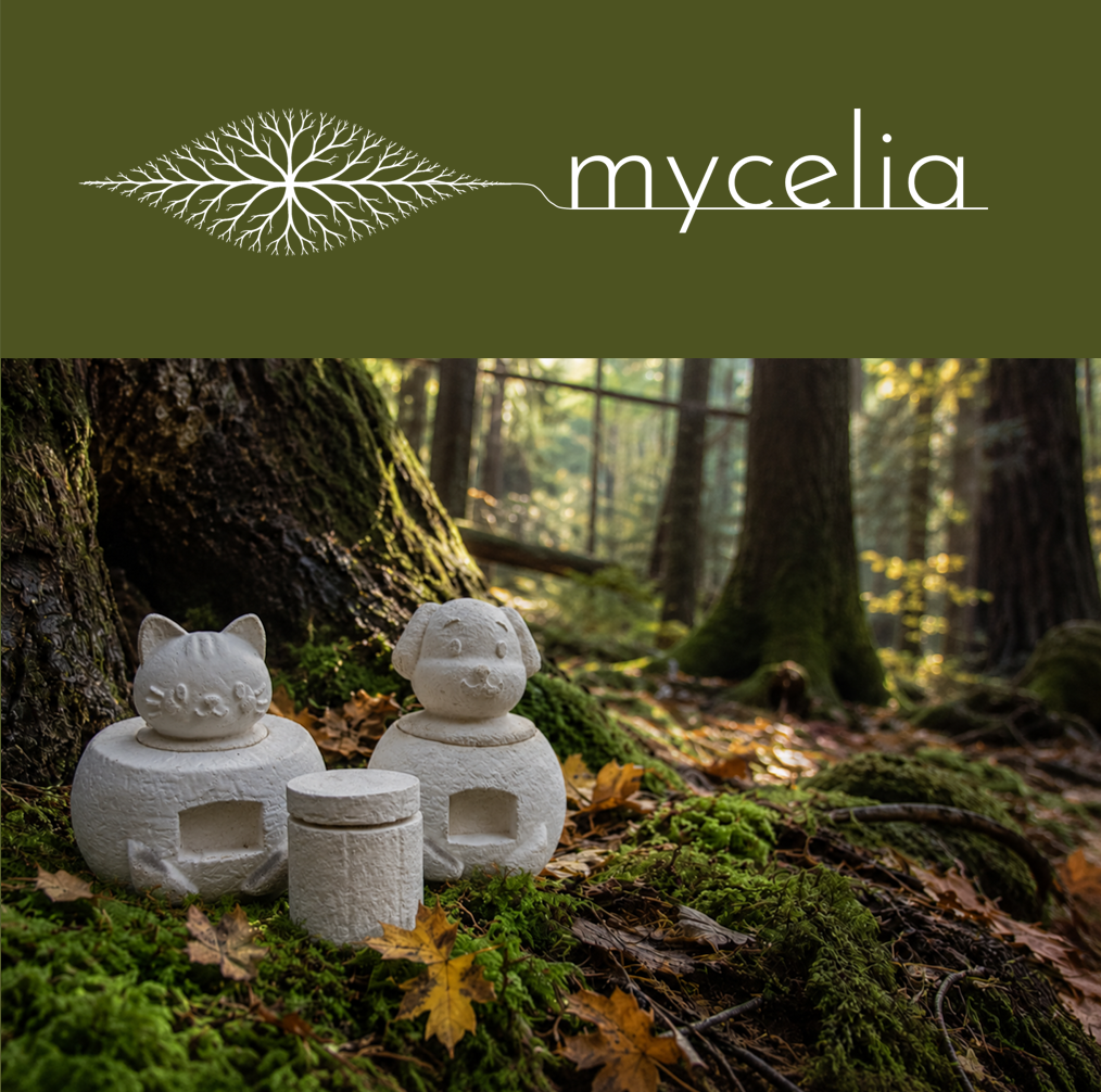 Mycelium organic white pet-shaped urns from the mycelia collection next to tree on forest floor