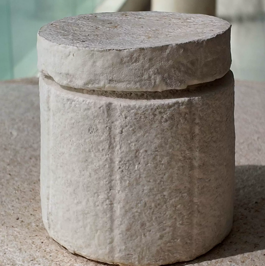 White-grey mycelium mushroom textured 100% biodegradable pet ash urn for your cat or dog or other pet