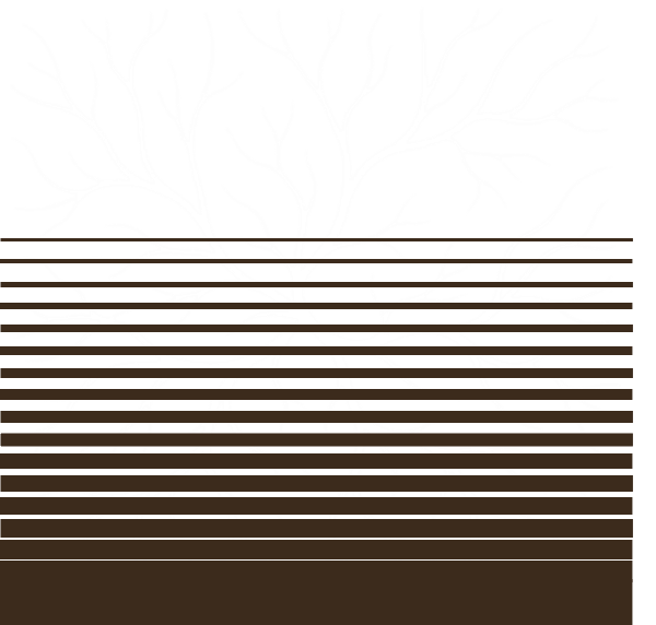 Mycelium root pattern partially covered by horizontal lines 